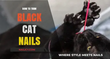 Trimming Your Black Cat's Nails: A Step-by-Step Guide