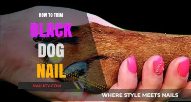 Trimming Black Dog Nails: A Step-by-Step Guide