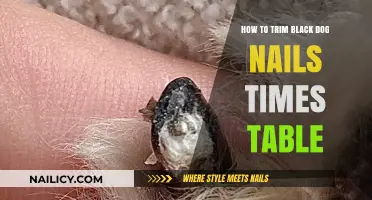 Trimming Black Dog Nails: A Step-by-Step Guide