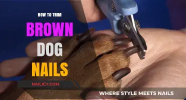 Trimming Dark Nails: A Guide for Dog Owners