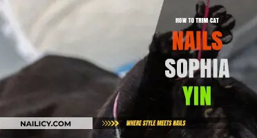 Trimming Cat Nails: Sophia Yin's Guide