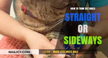Trimming Cat Nails: Straight or Sideways?