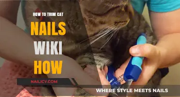 Trimming Your Cat's Nails: A Step-by-Step Guide