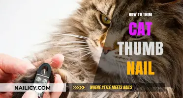 Trimming Your Cat's Thumb Nail: A Step-by-Step Guide