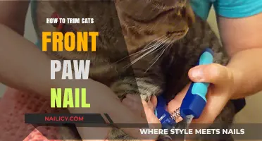 Trimming Your Cat's Front Paw Nails: A Step-by-Step Guide