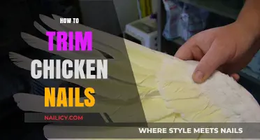 Trimming Chicken Nails: A Step-by-Step Guide