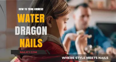 Trimming Nails: A Chinese Water Dragon's Comfort Guide