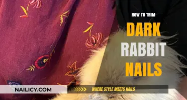 Trimming Dark Rabbit Nails: A Step-by-Step Guide