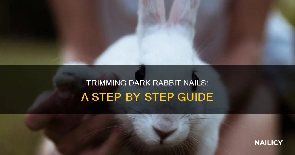 how to trim dark rabbit nails