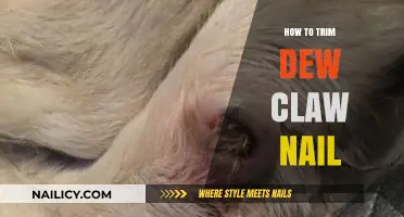 Trimming Your Dog's Dew Claw Nail: A Step-by-Step Guide