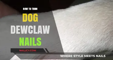 Trimming Your Dog's Dewclaw Nails: A Step-by-Step Guide