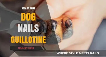 Trimming Dog Nails: Mastering the Guillotine Method