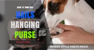 Trimming Dog Nails: A Handy Purse Solution