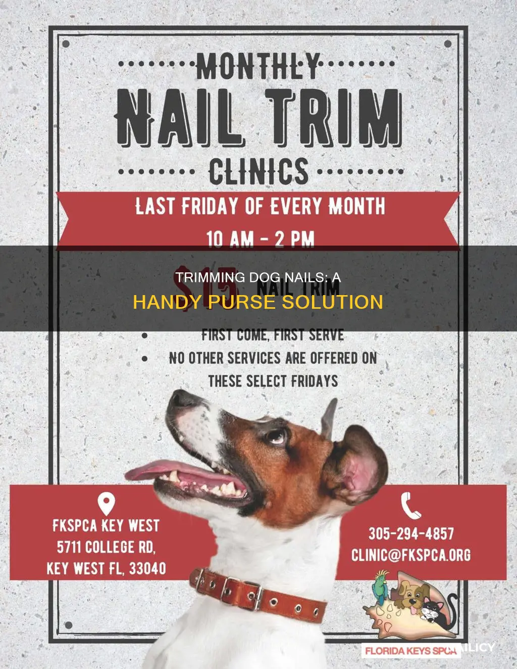 how to trim dog nails hanging purse