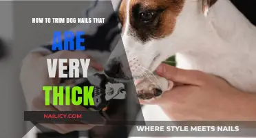 Trimming Thick Dog Nails: A Step-by-Step Guide