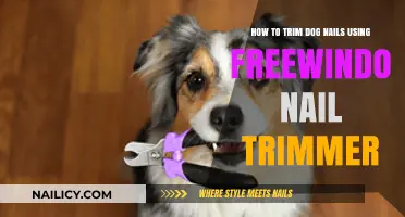 Easy Dog Nail Trimming with Freewindo: A Step-by-Step Guide