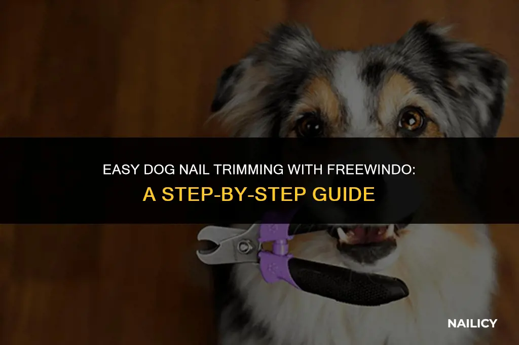 how to trim dog nails using freewindo nail trimmer