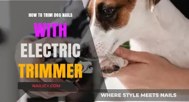 Trimming Dog Nails: Electric Clippers Make it Easy