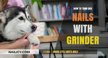 Trimming Dog Nails: Using a Grinder Safely and Effectively