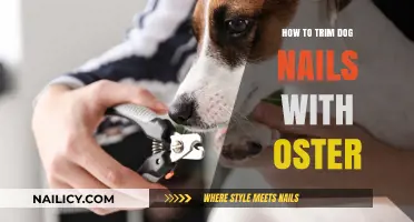 Trimming Dog Nails: Using Oster Clippers for Easy Grooming