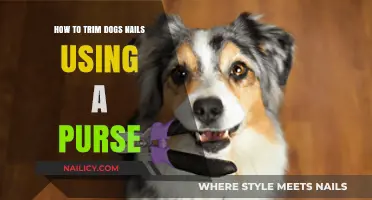 Purse-Perfect Paws: Trimming Your Dog's Nails with Style