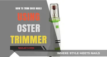 Mastering the Art of Dog Nail Trimming with Oster Trimmer