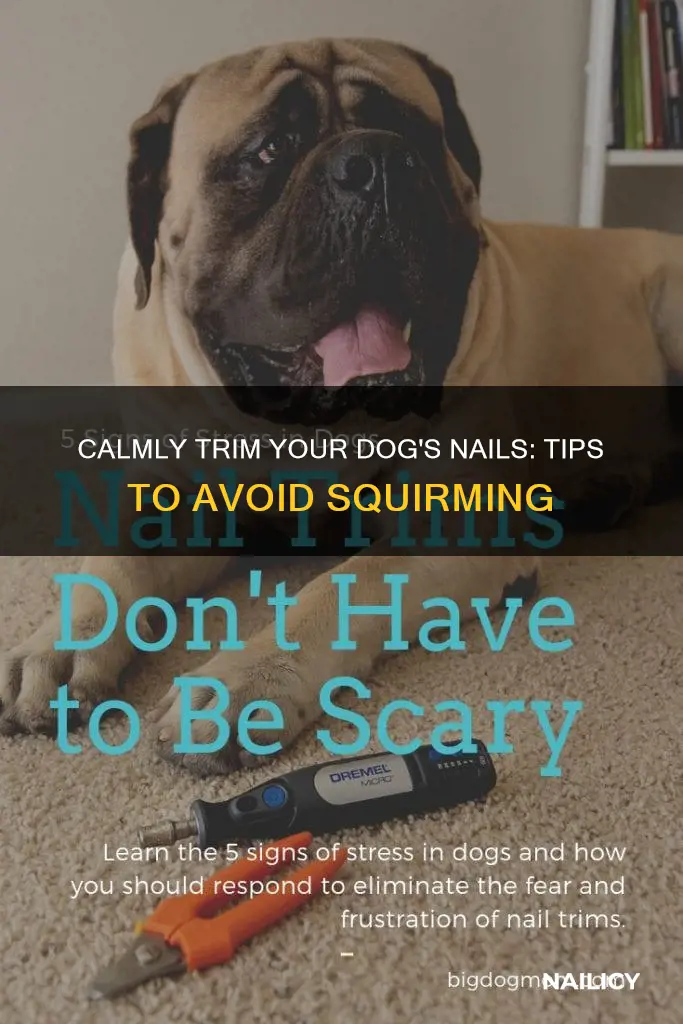 how to trim dogs nails without them squirming
