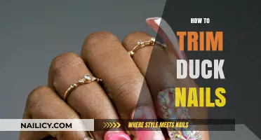 Trimming Duck Nails: A Step-by-Step Guide for Beginners