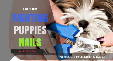 Trimming Your Fighting Puppy's Nails: A Step-by-Step Guide