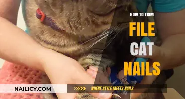 Trimming Your Cat's Nails: A Step-by-Step Guide