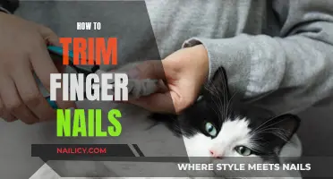 Trimming Fingernails: A Step-by-Step Guide for Perfectly Trimmed Nails