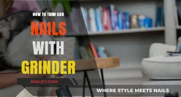 Trimming Dog Nails: Using a Grinder Safely