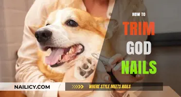 Trimming Dog Nails: A Step-by-Step Guide for Owners