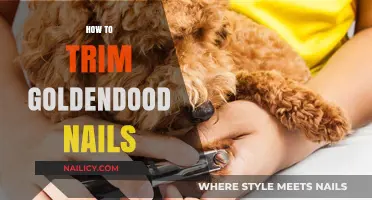 Trimming Your Goldendoodle's Nails: A Step-by-Step Guide