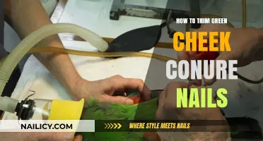 Trimming Green Cheek Conure Nails: A Step-by-Step Guide