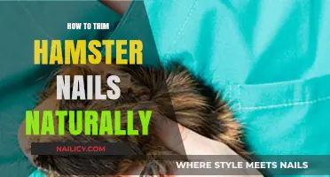 Trimming Hamster Nails: A Natural Approach to Pet Care