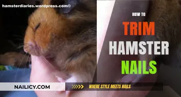 Trimming Your Hamster's Nails: A Step-by-Step Guide
