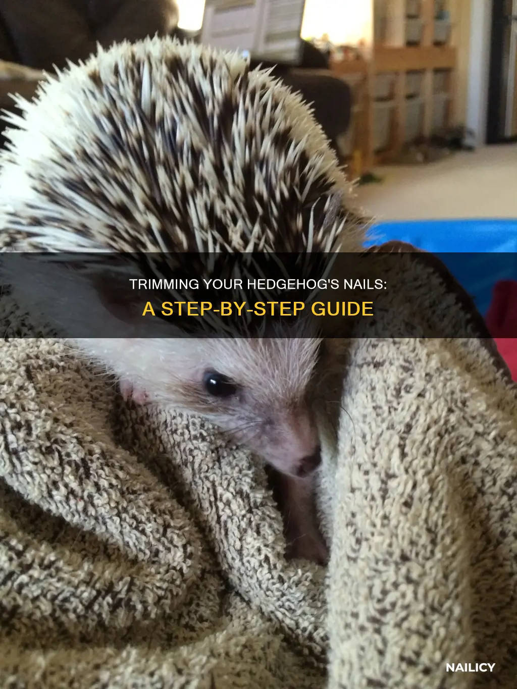 how to trim hedgehog nails