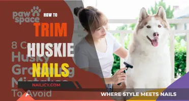 Trimming Your Husky's Nails: A Step-by-Step Guide