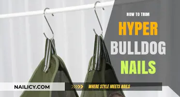Trimming Hyper Bulldog Nails: A Step-by-Step Guide