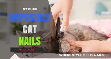 Trimming Your Cat's Nails: A Step-by-Step Guide
