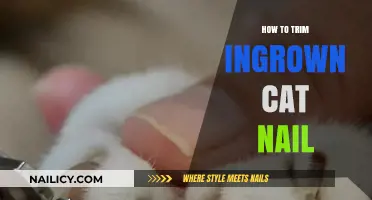 Trimming Your Cat's Ingrown Nails: A Step-by-Step Guide