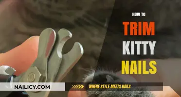 Trimming Your Cat's Nails: A Step-by-Step Guide