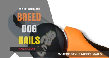 Trimming Your Large Dog's Nails: A Step-by-Step Guide