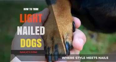 Trimming Your Light-Nailed Dog's Nails: A Step-by-Step Guide