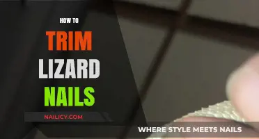 Trimming Lizard Nails: A Step-by-Step Guide for Owners