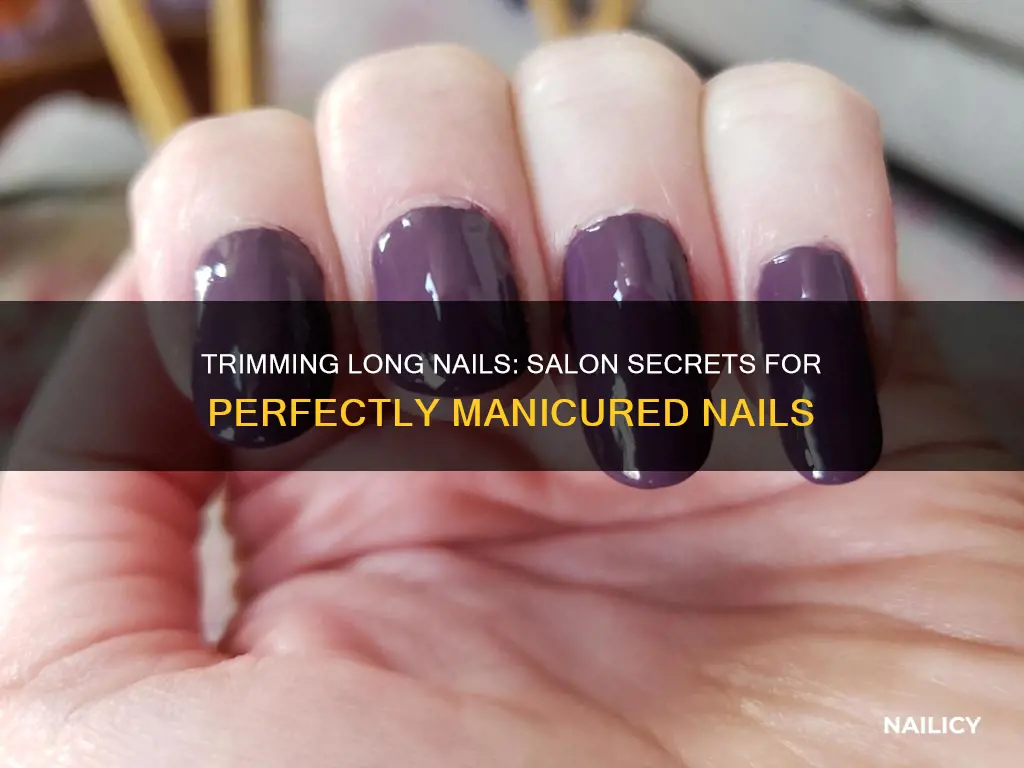 how to trim long nails from salon
