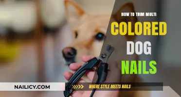 Trimming Multi-Colored Dog Nails: A Step-by-Step Guide