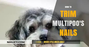 Trimming Your Multipoo's Nails: A Step-by-Step Guide