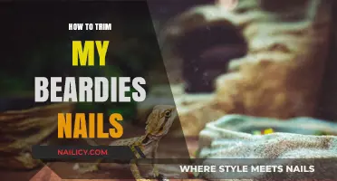 Trimming Your Bearded Dragon's Nails: A Step-by-Step Guide